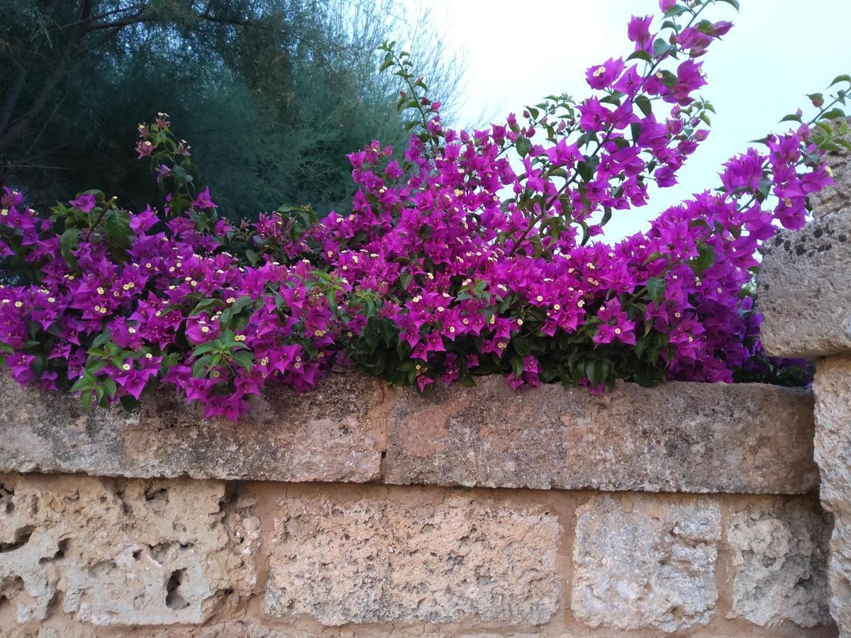 Aradeo Casetta Vacanza In Campagna מראה חיצוני תמונה