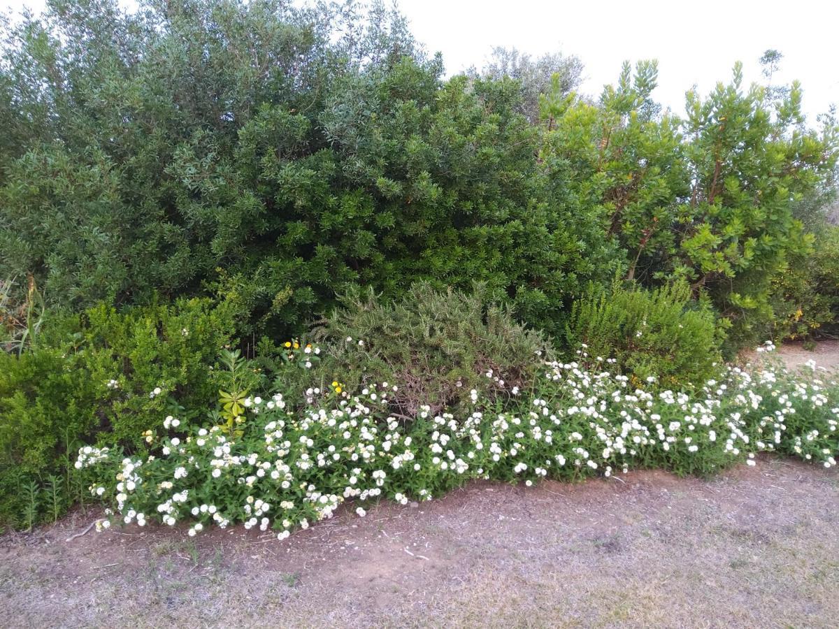 Aradeo Casetta Vacanza In Campagna מראה חיצוני תמונה