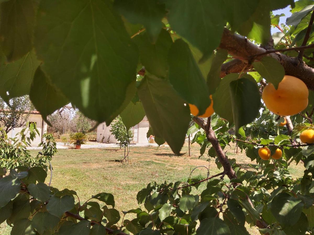 Aradeo Casetta Vacanza In Campagna מראה חיצוני תמונה
