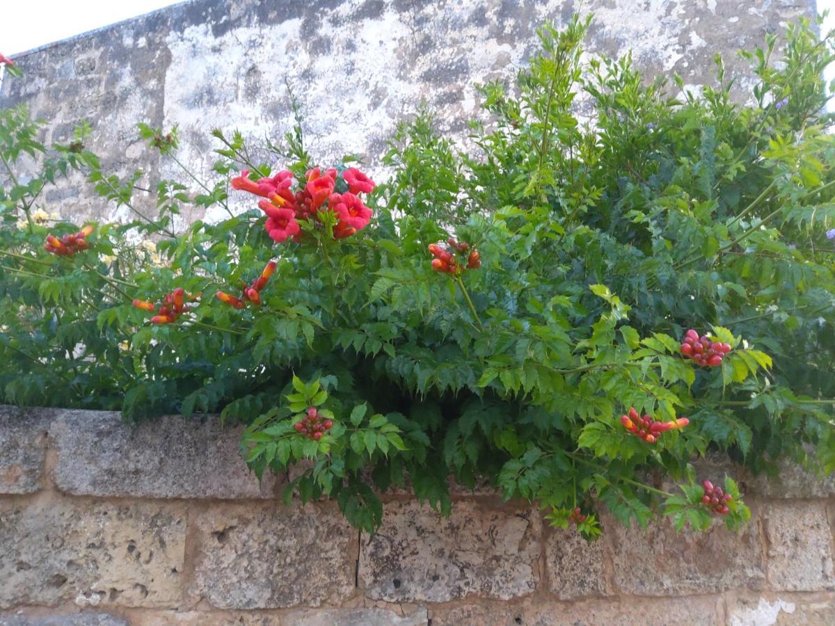 Aradeo Casetta Vacanza In Campagna מראה חיצוני תמונה