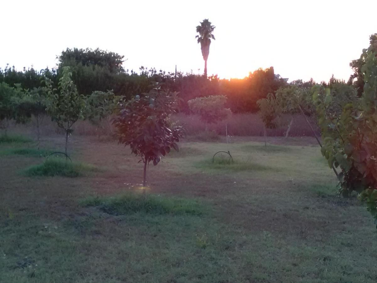 Aradeo Casetta Vacanza In Campagna מראה חיצוני תמונה