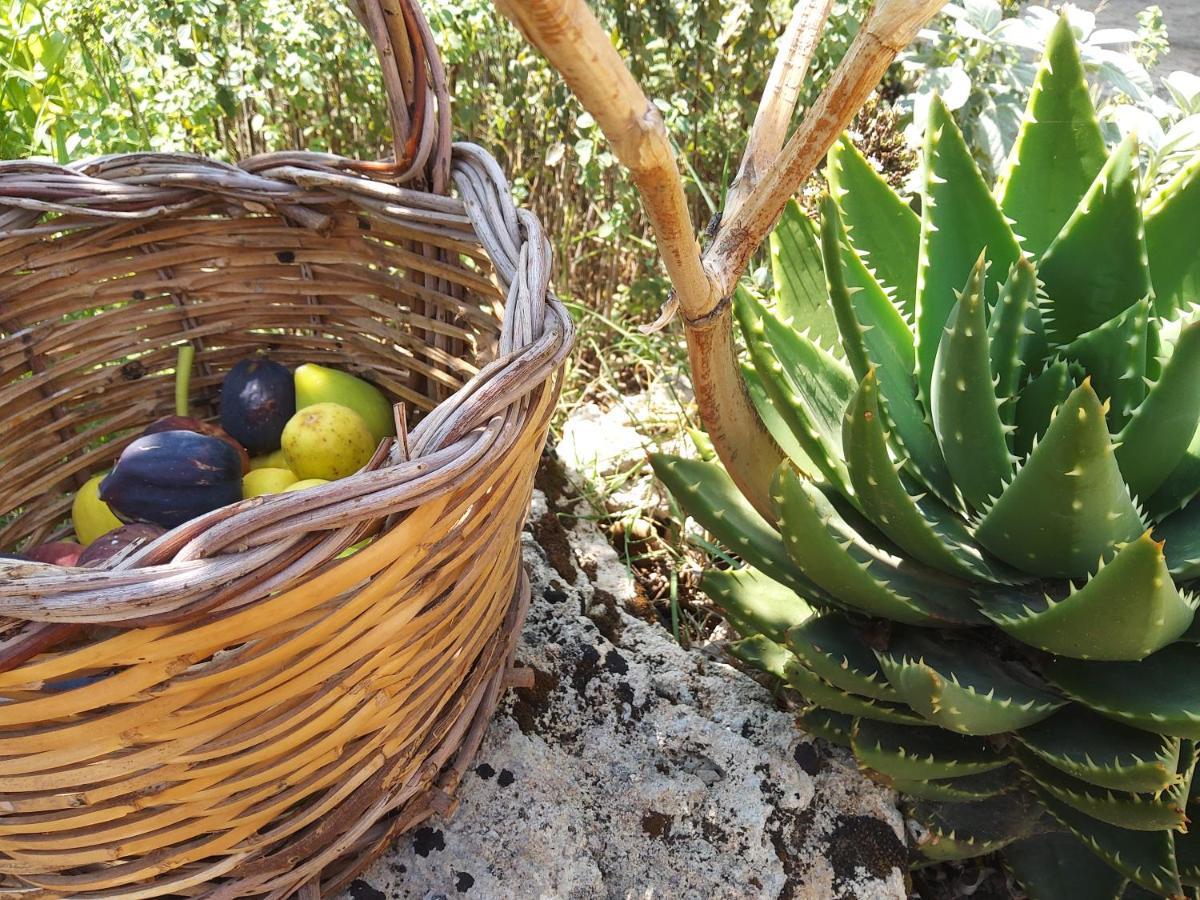 Aradeo Casetta Vacanza In Campagna מראה חיצוני תמונה
