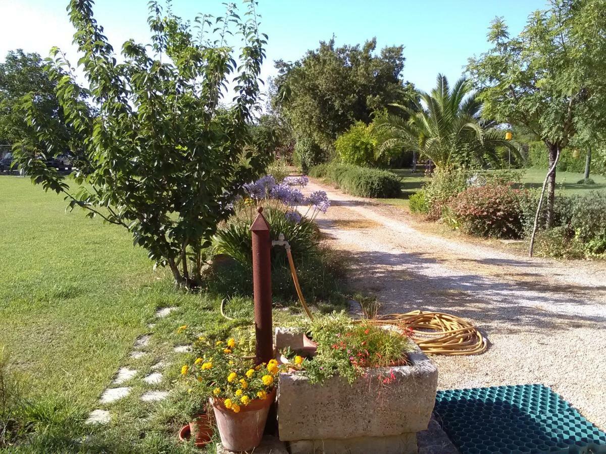Aradeo Casetta Vacanza In Campagna מראה חיצוני תמונה