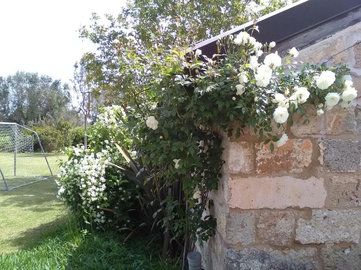 Aradeo Casetta Vacanza In Campagna מראה חיצוני תמונה
