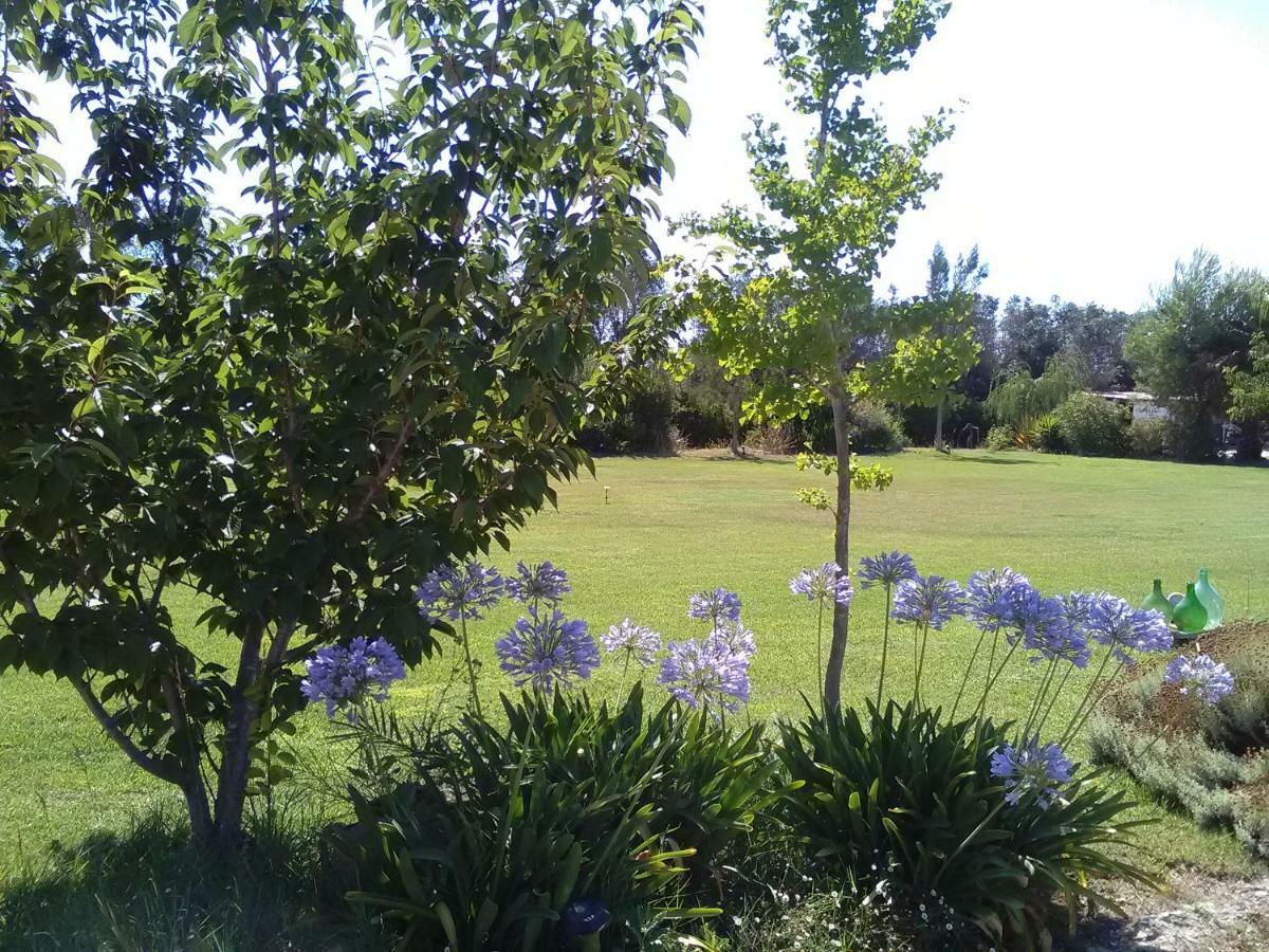 Aradeo Casetta Vacanza In Campagna מראה חיצוני תמונה
