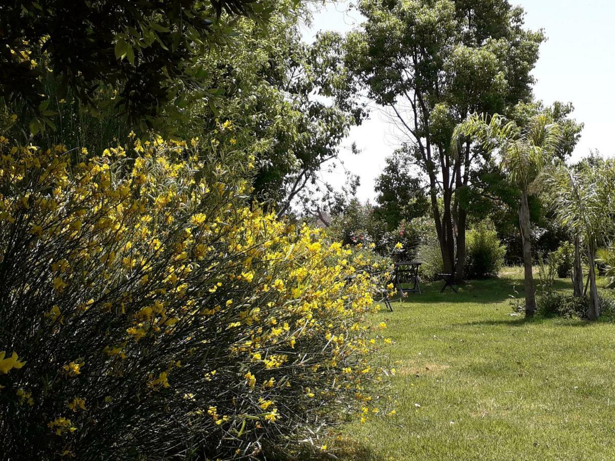 Aradeo Casetta Vacanza In Campagna מראה חיצוני תמונה