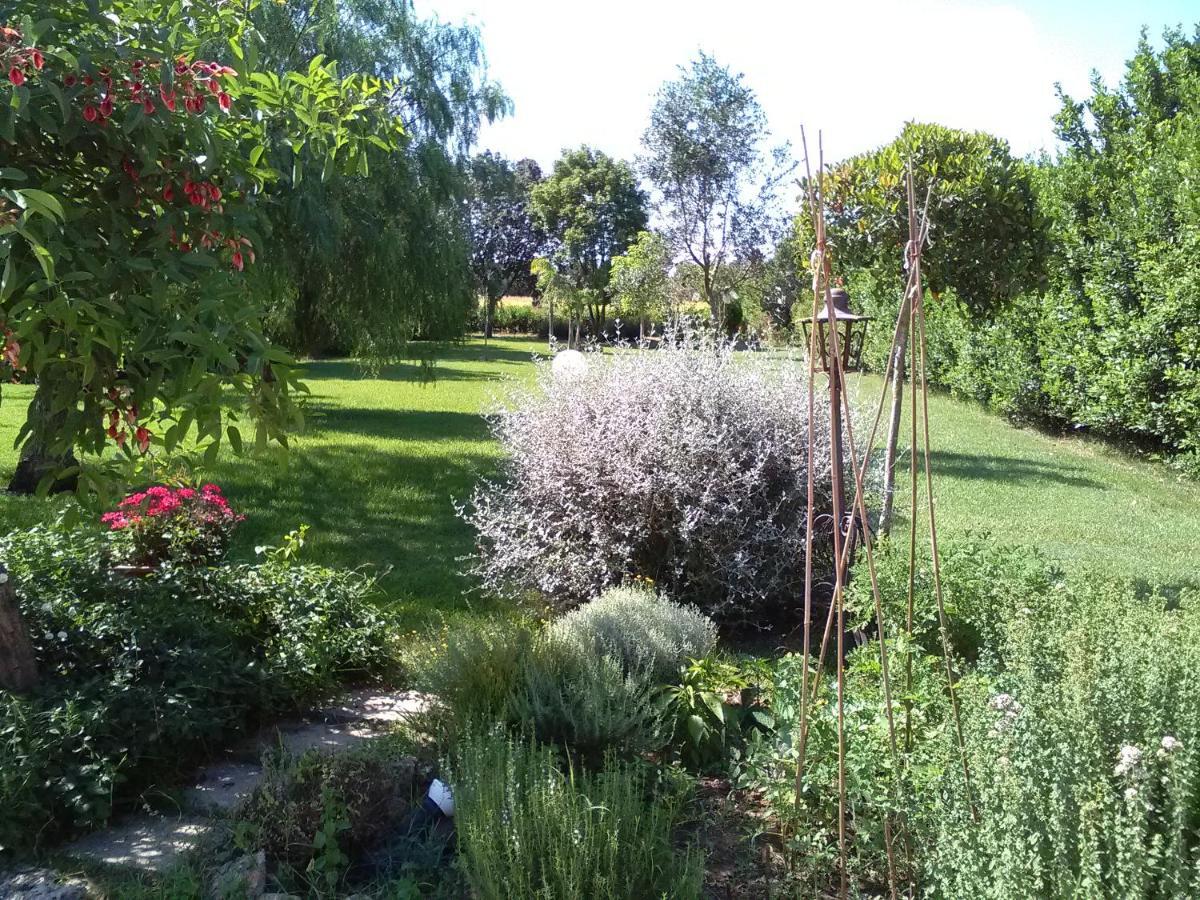 Aradeo Casetta Vacanza In Campagna מראה חיצוני תמונה