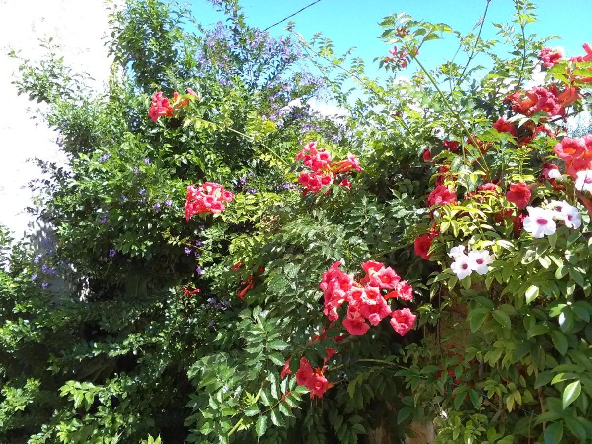 Aradeo Casetta Vacanza In Campagna מראה חיצוני תמונה